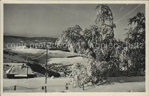 AK / Ansichtskarte Sachsenberg Georgenthal Winterpanorama am Aschberg Kat. Klingenthal Sachsen