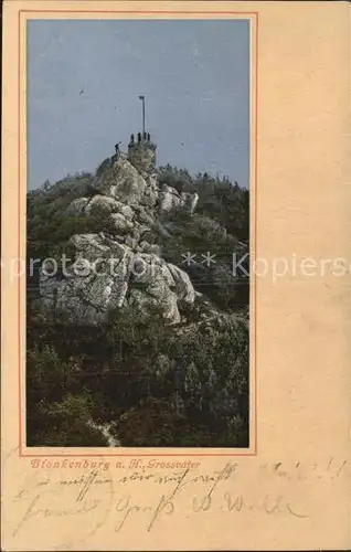 AK / Ansichtskarte Blankenburg Harz Grossvater Kat. Blankenburg