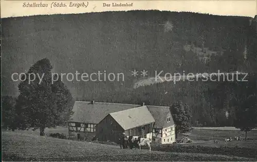 AK / Ansichtskarte Schellerhau Lindenhof Bauernhof Landwirtschaft Kuehe Kat. Altenberg