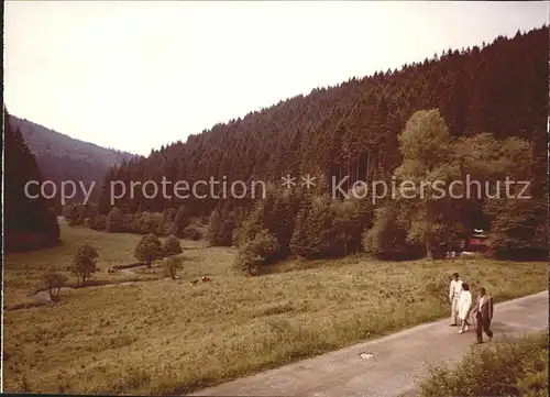 AK / Ansichtskarte Willingen Sauerland Spaziergang im Hermeketal Kat. Willingen (Upland)