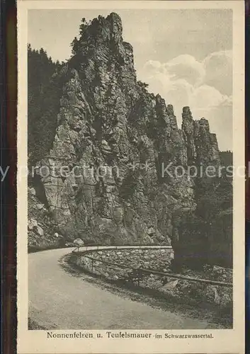 AK / Ansichtskarte Zoeblitz Sachsen Nonnenfelsen Teufelsmauer Schwarzwassertal Felsen Erzgebirge Kat. Zoeblitz