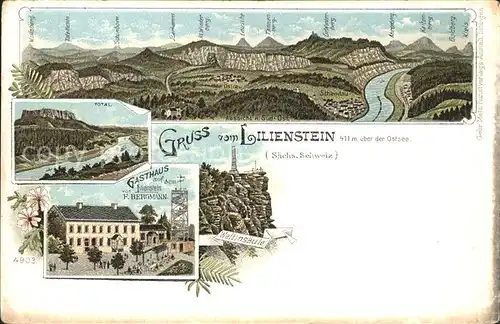 AK / Ansichtskarte Schandau Bad Panorama Elbsandsteingebirge Lilienstein Gasthaus Wettinsaeule Reichspost Litho Kat. Bad Schandau