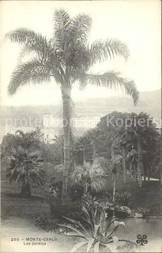 AK / Ansichtskarte Monte Carlo Les Jardins Kat. Monte Carlo