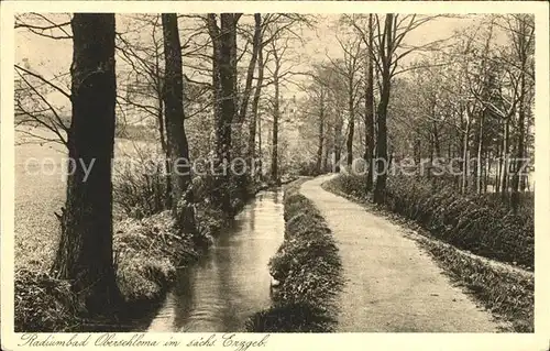 AK / Ansichtskarte Oberschlema Erzgebirge Flossgraben Radiumbad Kat. Bad Schlema