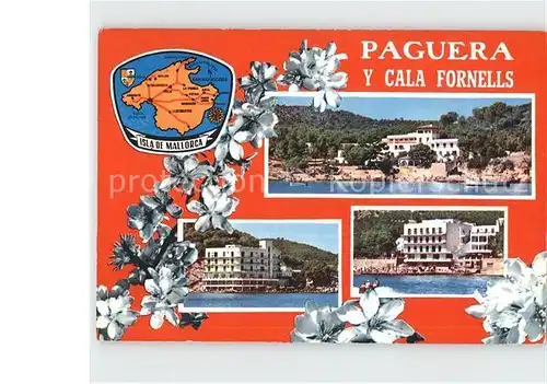 AK / Ansichtskarte Paguera Mallorca Islas Baleares  Kat. Calvia