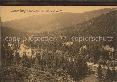 AK / Ansichtskarte Baerenburg Sachsen Blick ins Tal Kat. Altenberg