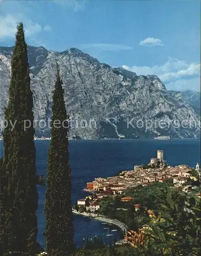 AK / Ansichtskarte Malcesine Lago di Garda Panorama Gardasee Alpen Kat. Malcesine