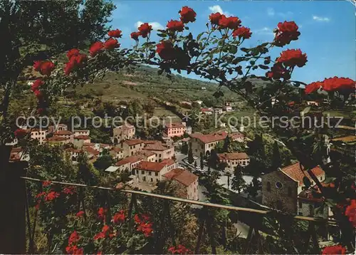 AK / Ansichtskarte Arqua Petrarca Panorama Colli Euganei Rosenbusch Kat. Ferrara