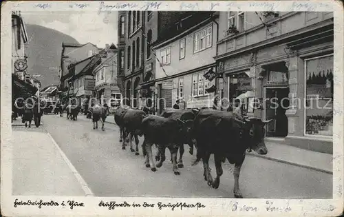 AK / Ansichtskarte Friedrichroda Viehtrieb durch die Stadt / Friedrichroda /Gotha LKR