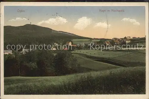 AK / Ansichtskarte Hayn Oybin Panorama Blick zum Hochwald Zittauer Gebirge