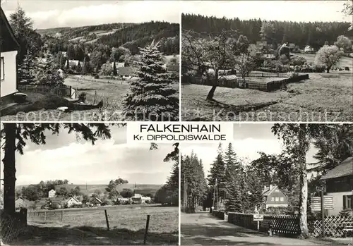 AK / Ansichtskarte Falkenhain Altenberg Erzgebirge Teilansichten Kur und Erholungsort Kat. Altenberg