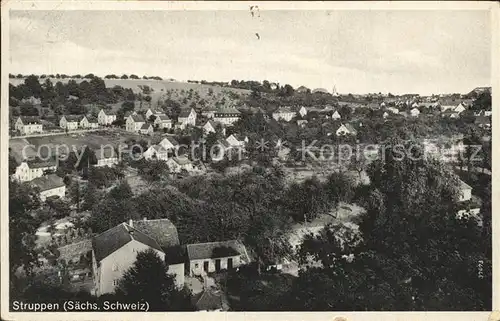 AK / Ansichtskarte Struppen Panorama Kat. Struppen