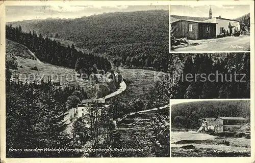 AK / Ansichtskarte Bad Gottleuba Berggiesshuebel Waldidyll Forsthaus Haselberg Unwetter Kat. Bad Gottleuba Berggiesshuebel