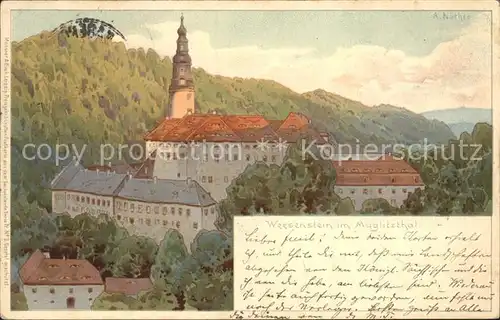 AK / Ansichtskarte Weesenstein Ortsansicht mit Kirche Kuenstlerkarte