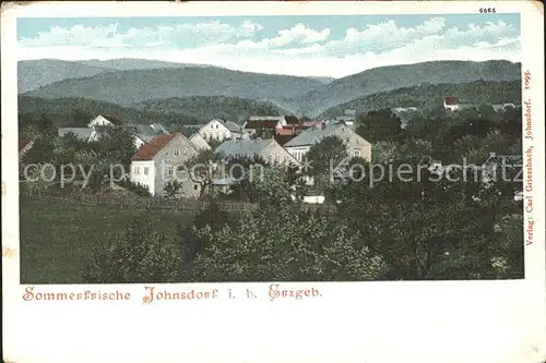 AK / Ansichtskarte Johnsdorf Zittau Panorama Sommerfrische Kat. Zittau