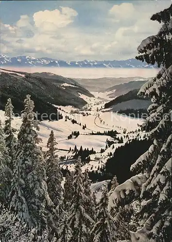 AK / Ansichtskarte Feldberg Schwarzwald Blick ins Menzenschwander Tal mit Schweizer Alpen Kat. Feldberg (Schwarzwald)