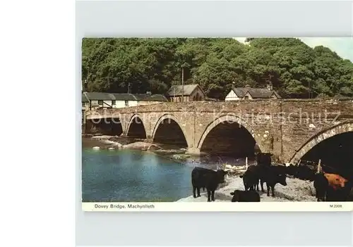AK / Ansichtskarte Machynlleth Dovey Bridge Kat. Powys