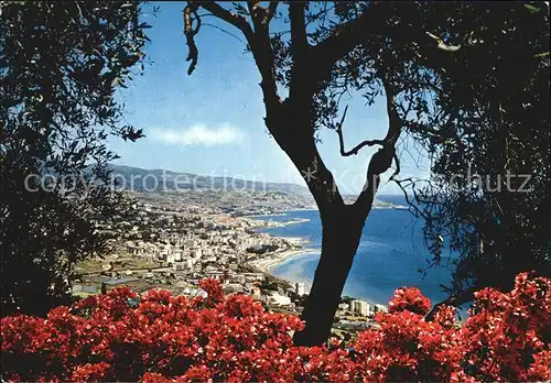 AK / Ansichtskarte Sanremo Panorama Blumen Kat. 
