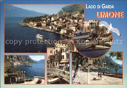 AK / Ansichtskarte Limone sul Garda Panorama Gardasee Hafen Fischerboot Moewe Uferpromenade Kat. 