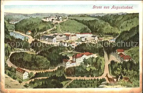 AK / Ansichtskarte Augustusbad Liegau Panorama Kuenstlerkarte