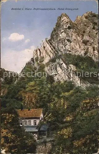 AK / Ansichtskarte Bodetal Harz Rosstrappenfelsen Hotel Koenigsruh Kat. Treseburg