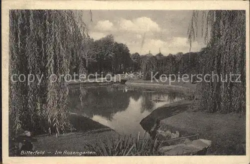 AK / Ansichtskarte Bitterfeld Partie im Rosengarten Teich Kat. Bitterfeld