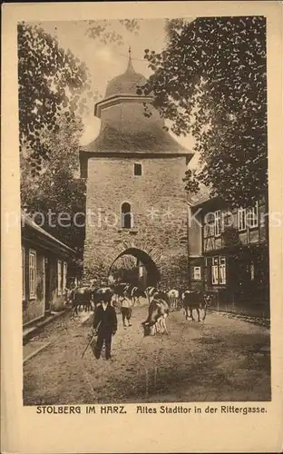 AK / Ansichtskarte Stolberg Harz Altes Stadttor Rittergasse Viehtrieb Kuehe Kat. Stolberg Harz