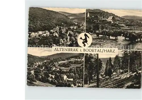 AK / Ansichtskarte Altenbrak Harz Panorama Bodetal Viehherde Kuehe Kat. Altenbrak