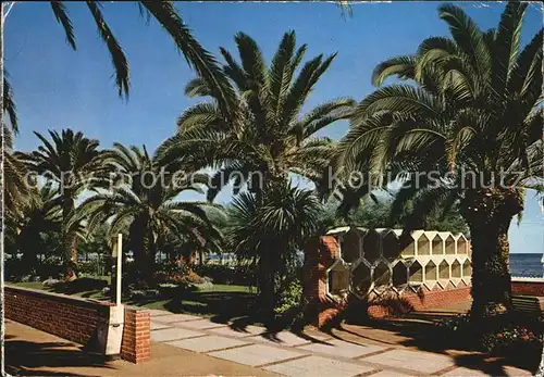 AK / Ansichtskarte Pietra Ligure Palmenhaine der Promenade