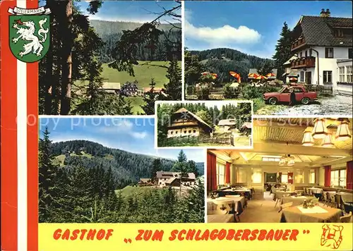 AK / Ansichtskarte Alpl Gasthof Zum Schlagobersbauer Landschaft Kat. Krieglach