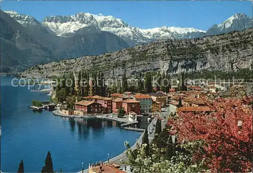 AK / Ansichtskarte Torbole Lago di Garda Panorama Primavera Fruehling am Gardasee Alpen Kat. Italien