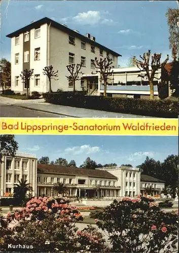 AK / Ansichtskarte Bad Lippspringe Sanatorium Waldfrieden Kat. Bad Lippspringe