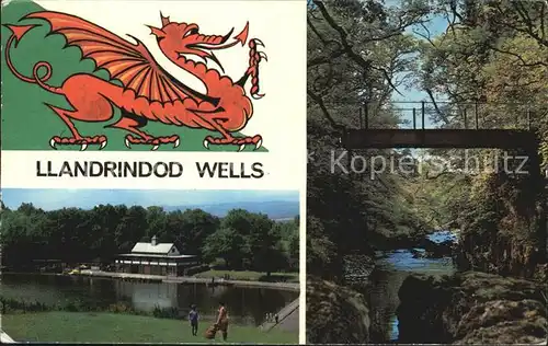 AK / Ansichtskarte Llandrindod Wells The lake Alpine Bridge Kat. Powys