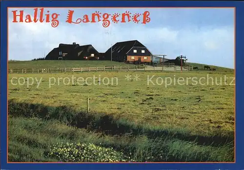 AK / Ansichtskarte Hallig Langeness Gehoeft Kat. Langeness