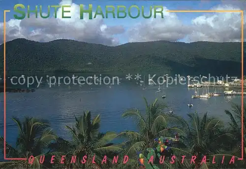 AK / Ansichtskarte Shute Harbour Airlie Beach Whitsunday Coast