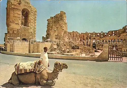 AK / Ansichtskarte El Jem Amphitheater und Kamel