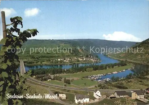 AK / Ansichtskarte Senheim Senhals Campingplatz Hollaendischer Hof Panorama Kat. Senheim