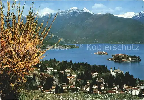 AK / Ansichtskarte Stresa Lago Maggiore e le isole Borromee Inseln Baumbluete Alpenpanorama