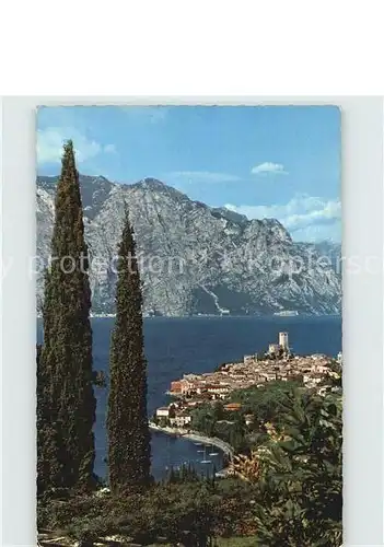 AK / Ansichtskarte Malcesine Lago di Garda  Kat. Malcesine