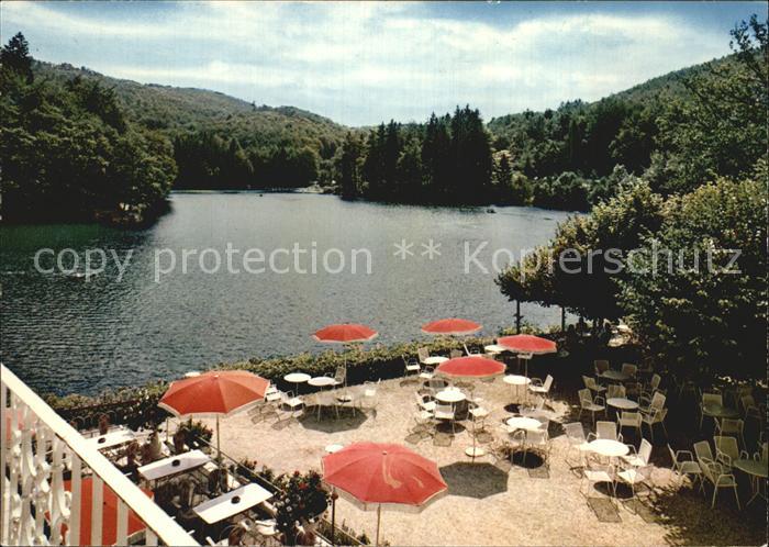 AK / Ansichtskarte Bad Lauterberg Kneipp Kurhotel Wiesenbeker Teich