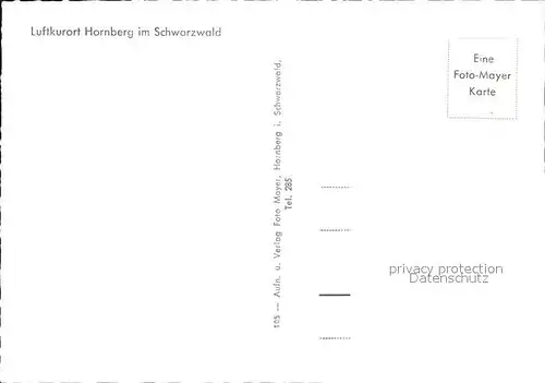 AK / Ansichtskarte Hornberg Schwarzwald Panorama Luftkurort Viadukt Kat. Hornberg