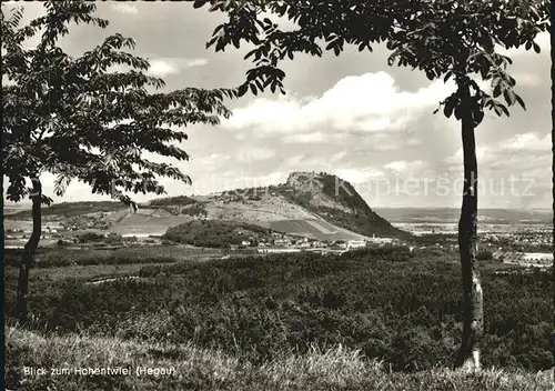 AK / Ansichtskarte Singen Hohentwiel Panorama Blick zum Hohentwiel Kat. Singen (Hohentwiel)