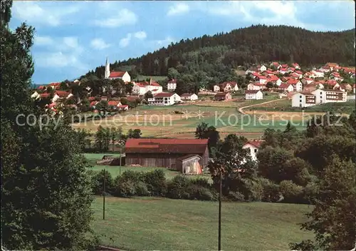 AK / Ansichtskarte Hohenwarth Koetzting Gesamtansicht Erholungsort Bayerischer Wald Kat. Hohenwarth