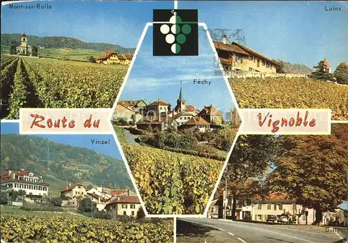 AK / Ansichtskarte Nyon VD Route du Vignoble Mont sur Rolle Luins Vinzel Gilly Fechy Kat. Nyon