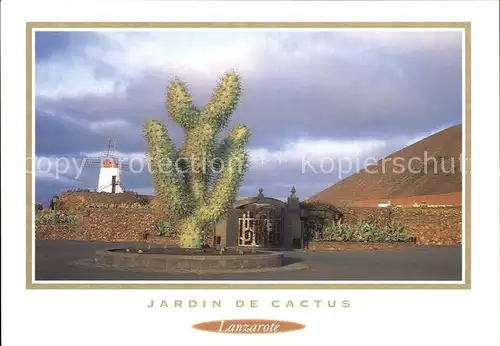 AK / Ansichtskarte Lanzarote Kanarische Inseln Jardin de Cactus Molino Kakteen Windmuehle