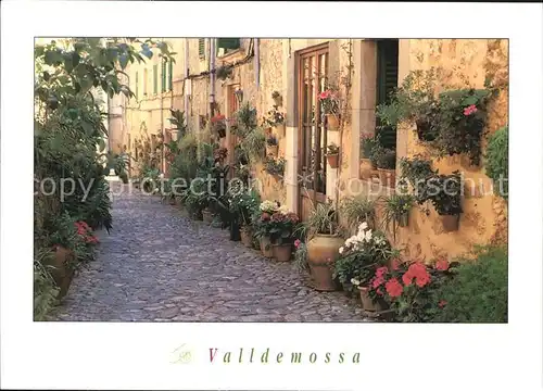 AK / Ansichtskarte Valldemossa Mallorca Gasse Blumenschmuck Kat. 