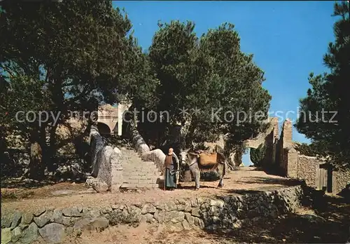 AK / Ansichtskarte Pollensa Puig de Maria Kloster Moench Esel Lasttier Kat. Mallorca