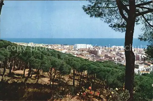 AK / Ansichtskarte Calella Vista general Panorama Pinienwald Kat. Barcelona