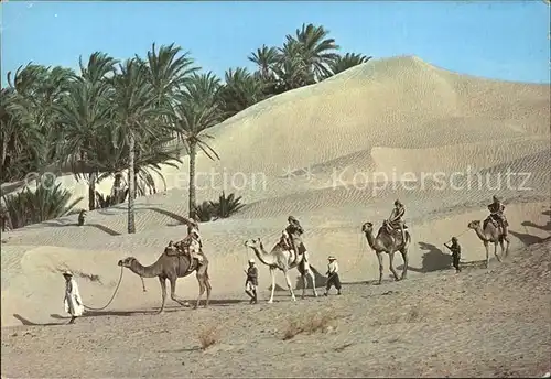 AK / Ansichtskarte Kamele Tunesien Caravane du Sahara Kat. Tiere