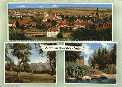 AK / Ansichtskarte Wemmetsweiler Ortsansicht mit St Michaels Kirche Schwesternhaus Weide Kuehe Pfarrhaus Illtal